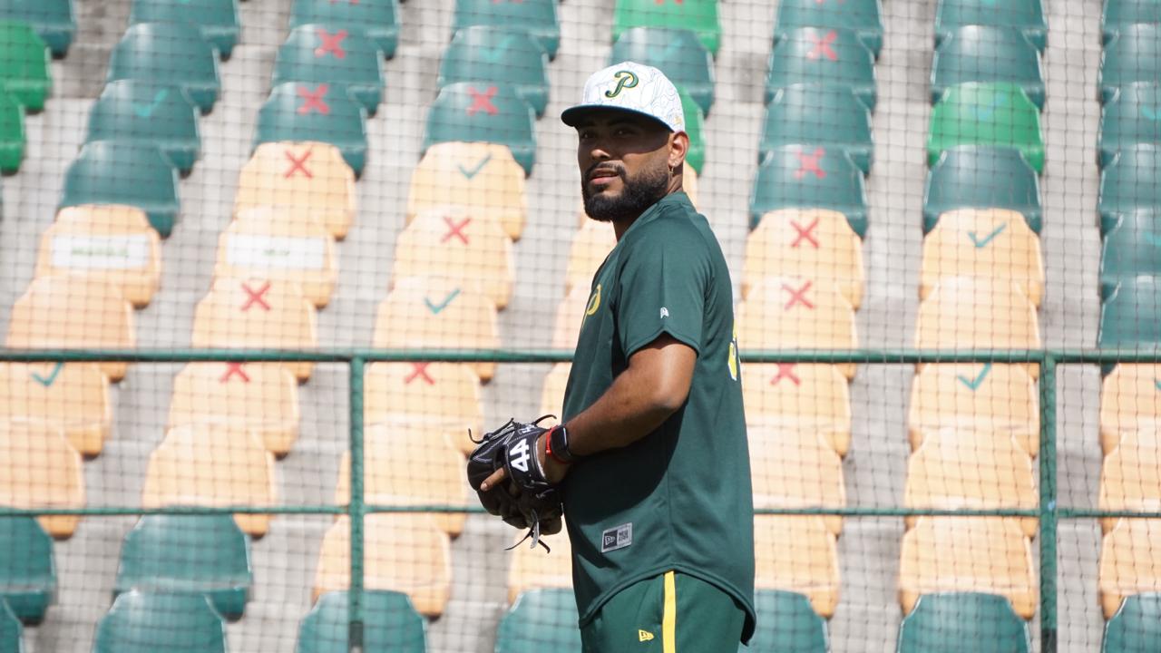 Elkin Alcalá reporta en el Nido Verde