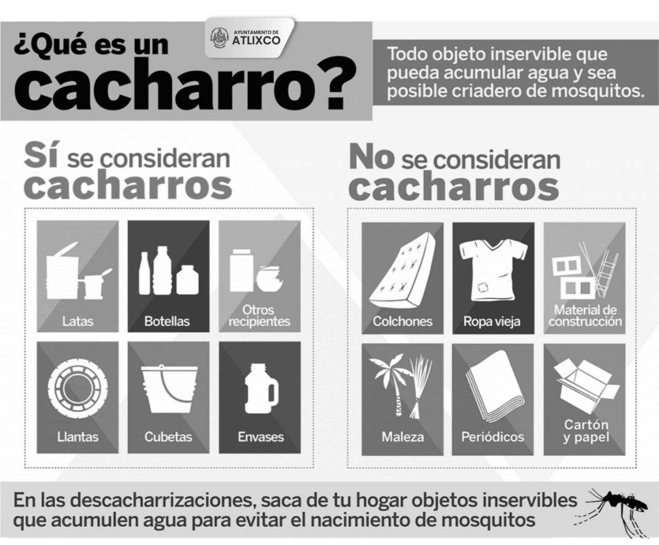 Conoce cuáles son los cacharros para prevenir la proliferación del Dengue en Atlixco
