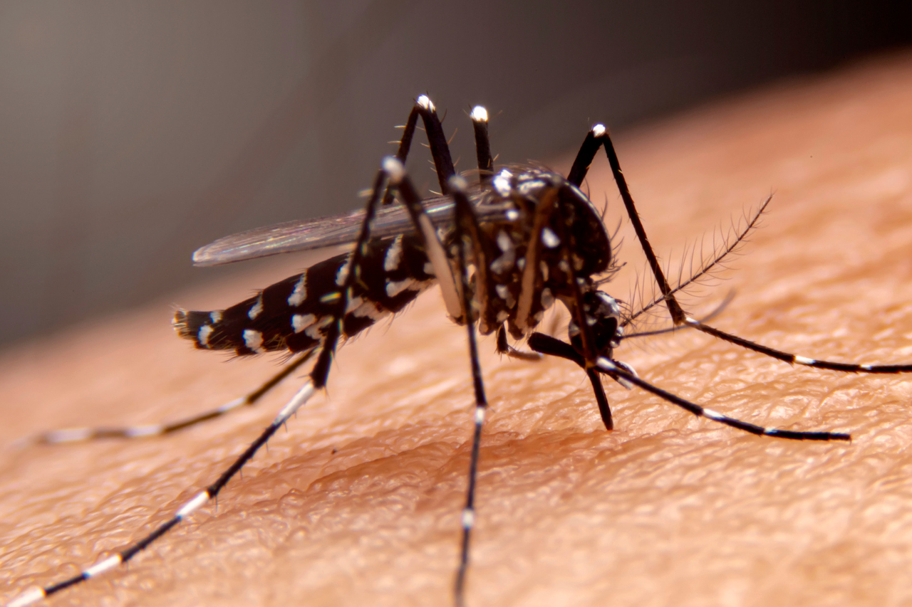 Van 61 casos de dengue en 18 municipios