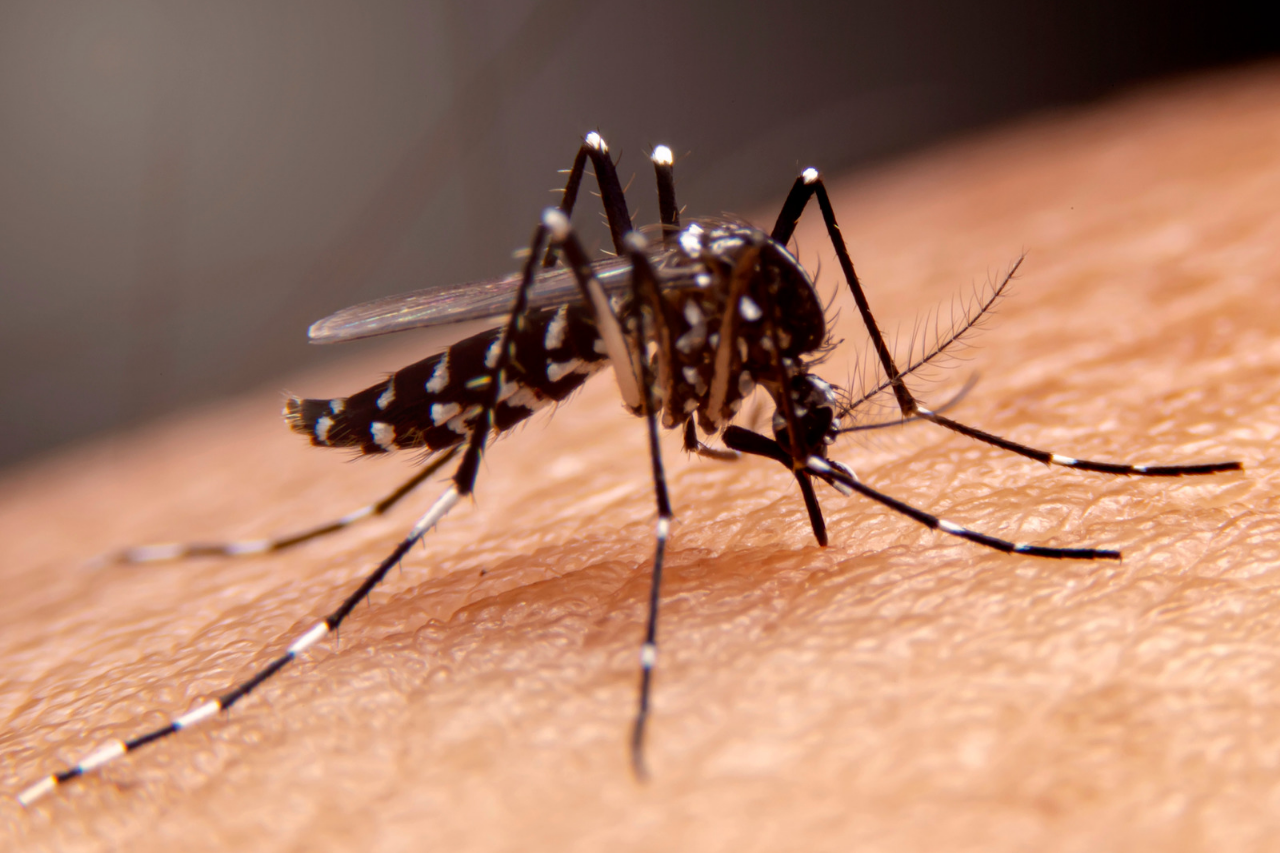 Sin contagios ni defunciones recientes por dengue en Puebla: Salud