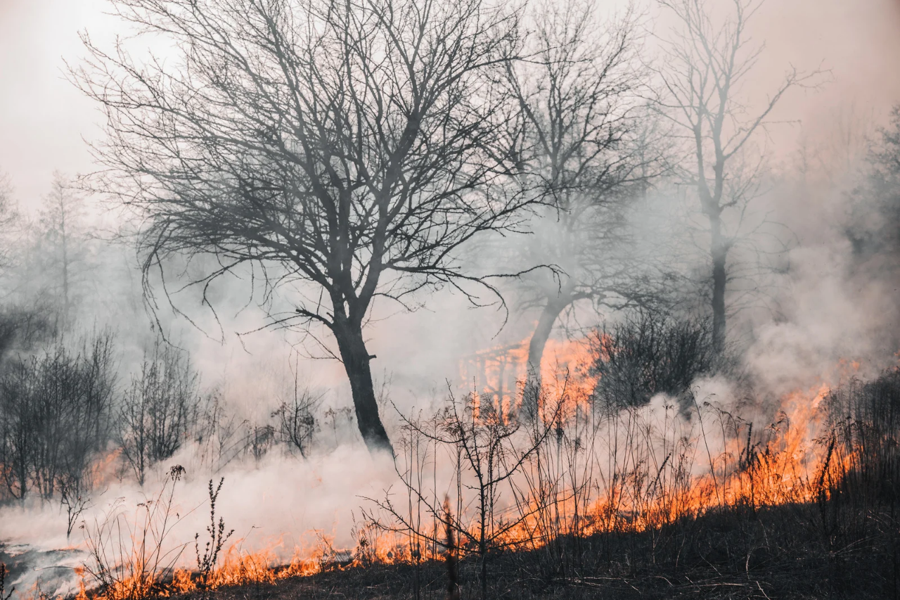 Surge otro incendio forestal en Tetela de Ocampo