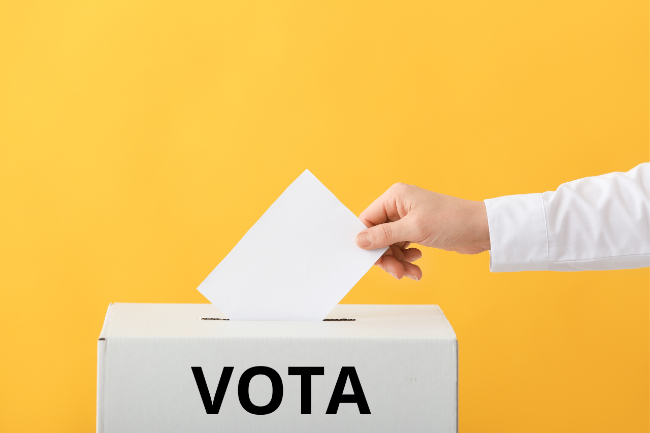 La importancia de votar