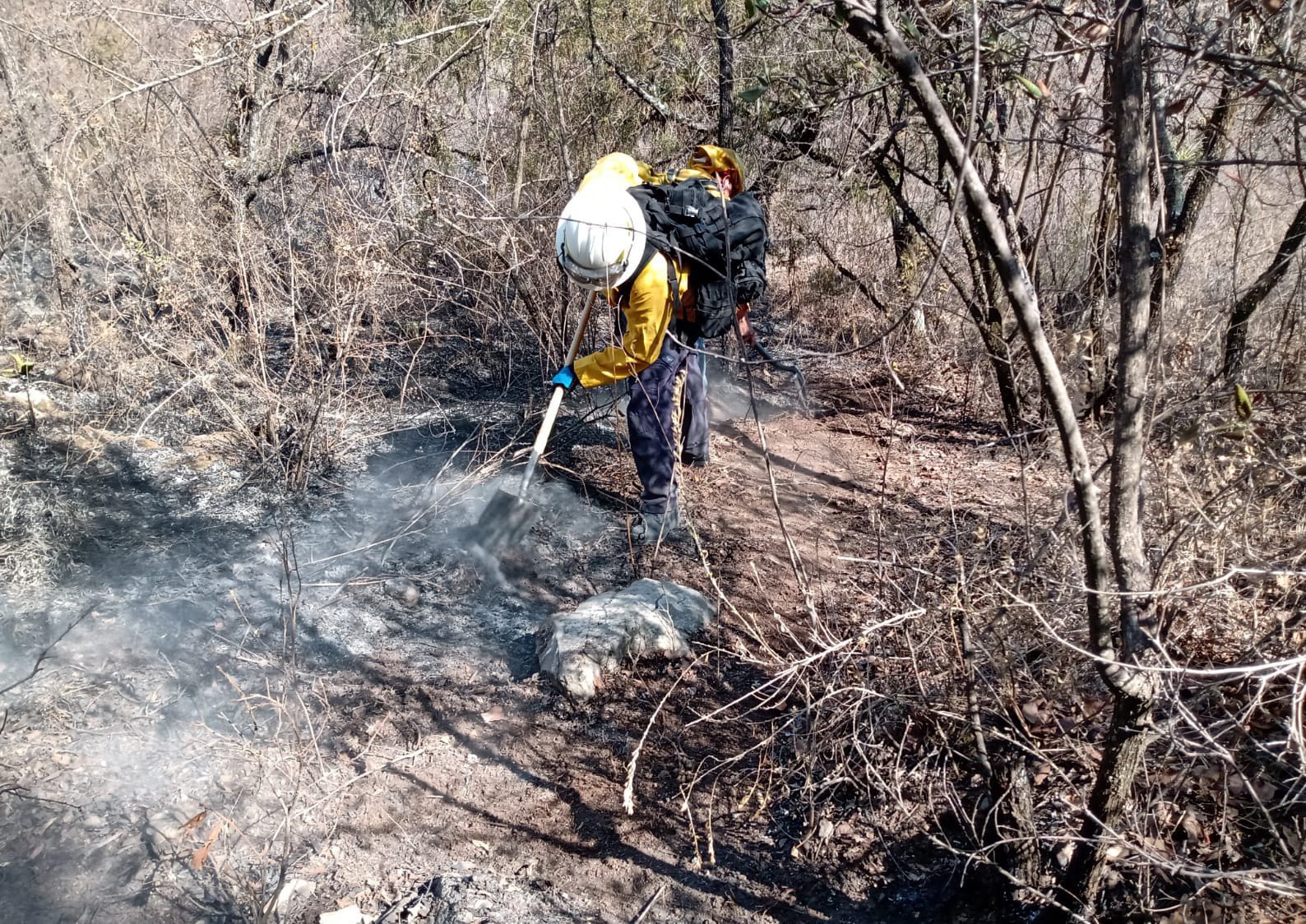 Gobernador Sergio Salomón Céspedes informa que ya fueron liquidados incendios forestales en Zacatlán y Flor del Bosque
