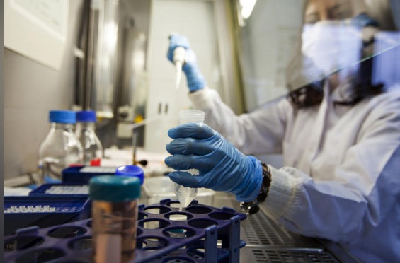 Científicos chinos crean variante mortal del virus ébola