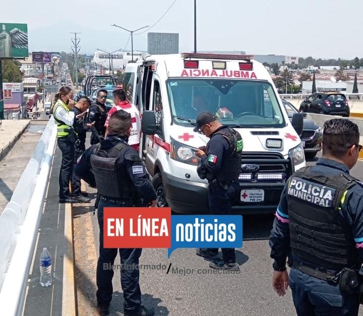 La SSC evitan que una mujer se aventara del puente de la Calzada Zaragoza