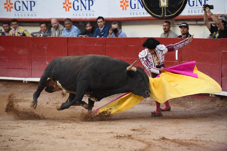 Aplazan audiencia para suspender definitivamente corridas de toros en Ciudad de México