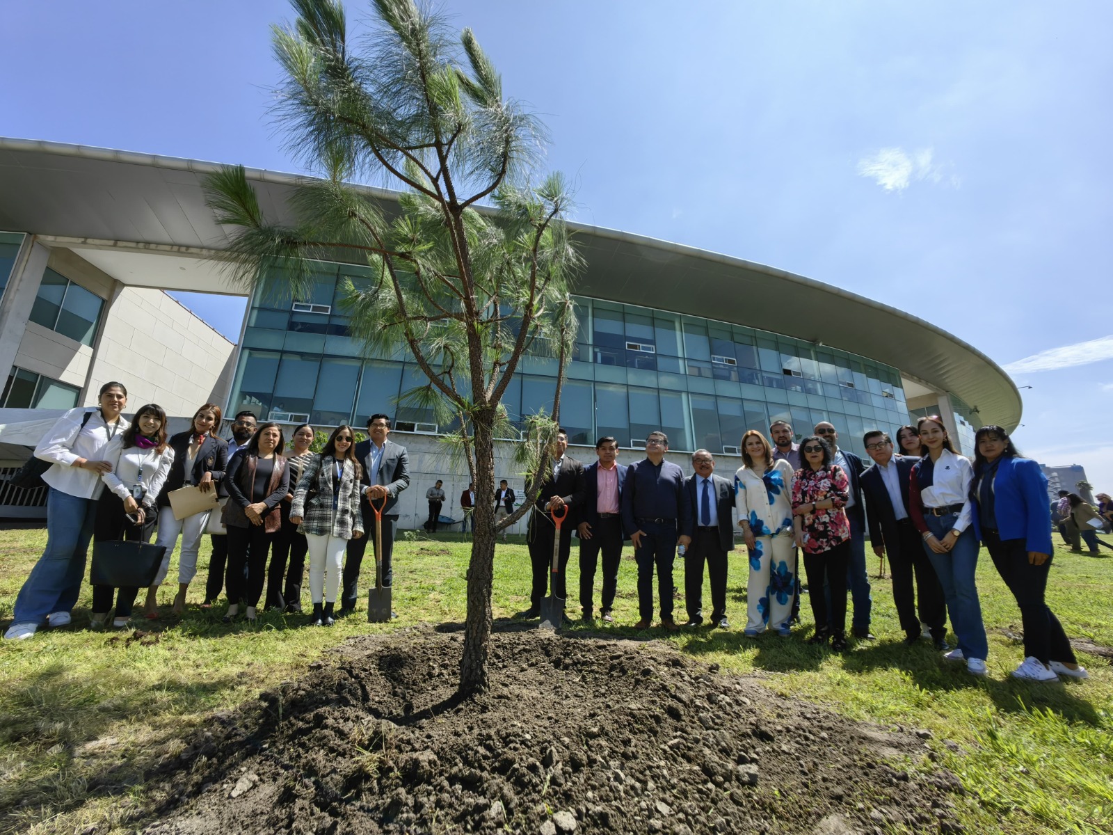 Voluntariado del Poder Judicial, reforesta Ciudad Judicial