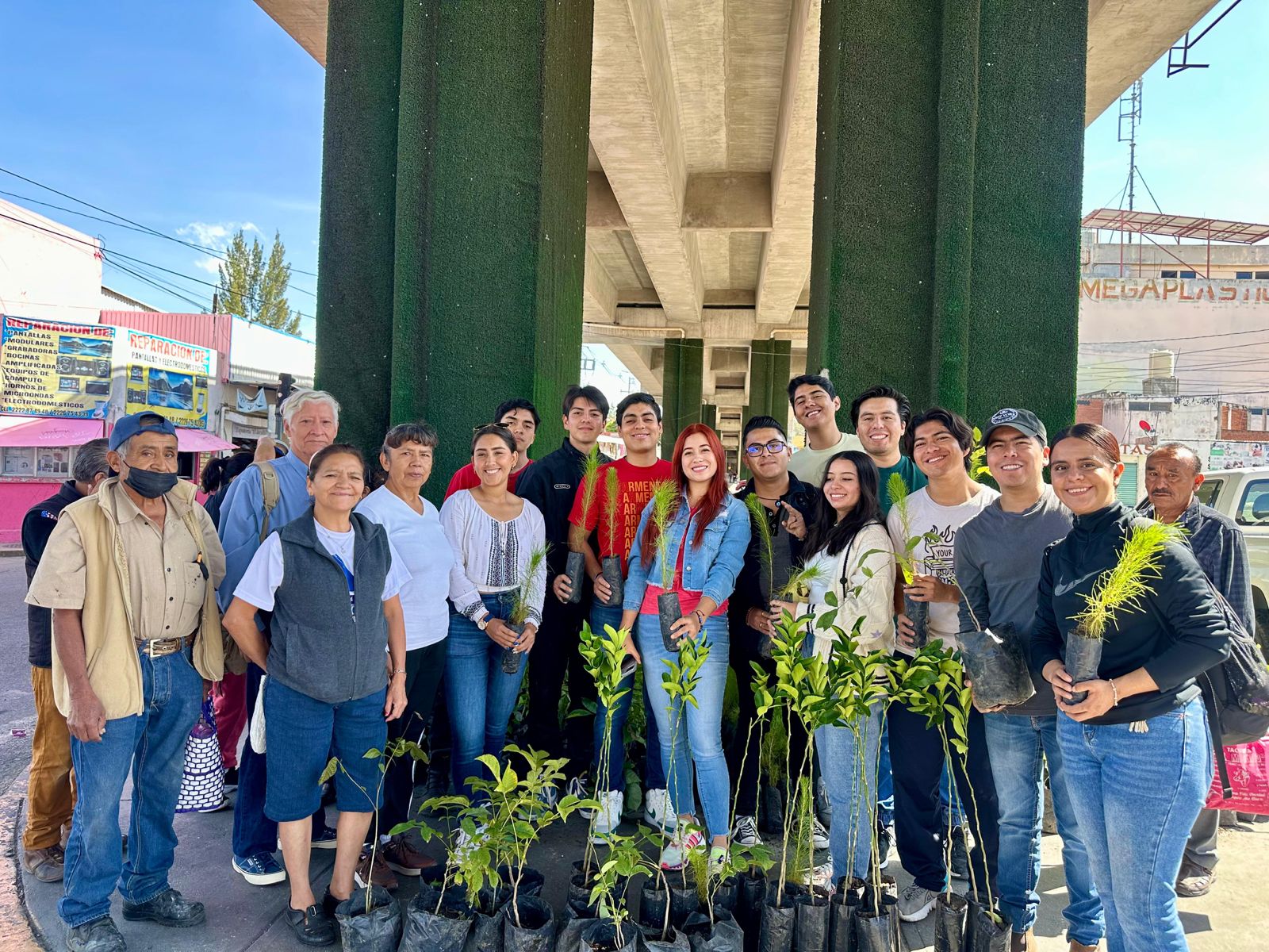 Con jornadas de reforestación, desarrollamos espacios verdes