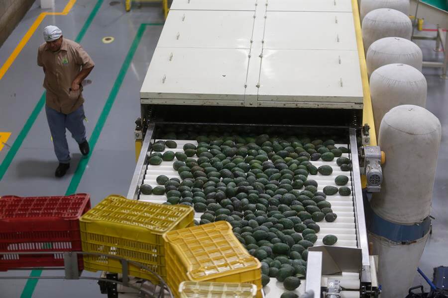 Aguacates, tequila o jarabe de arce pueden subir precios