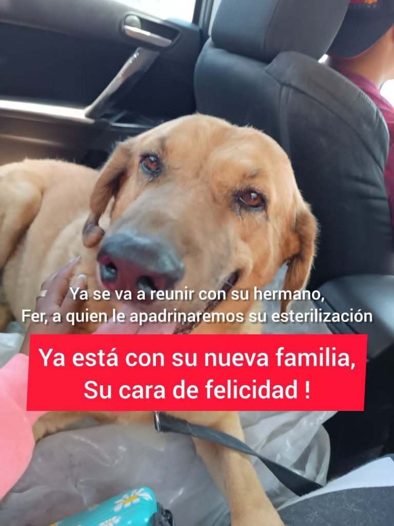 Whatsapp Image 2025 04 20 At 13.49.35 9e4704e0
