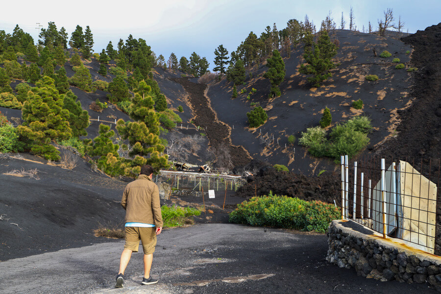 Reyes de España visitarán isla afectada por erupción volcánica