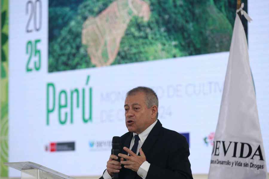 Perú Reduce En 3,26 % La Superficie De Cultivos De Coca En 2024