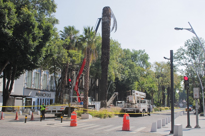 20250214ujpocavisibilidadvolcan 7 2