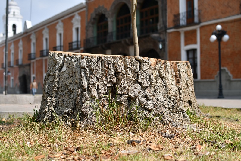 Img 20250426 Naturaleza1
