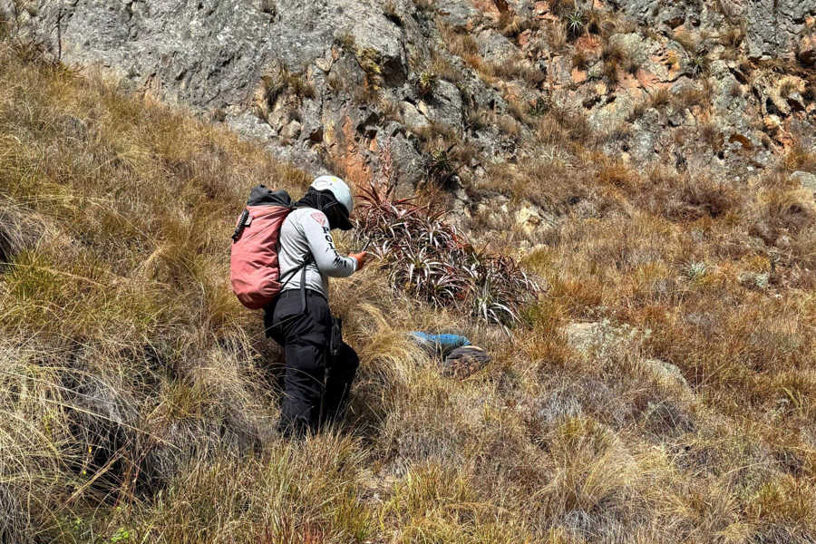 Un Español Muere En Perú Cuando Hacía Una Caminata En Cuzco