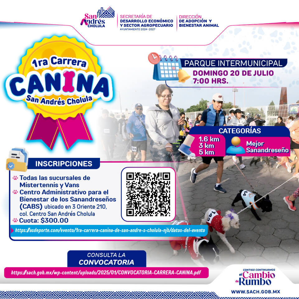 1200x1200 Carreracan