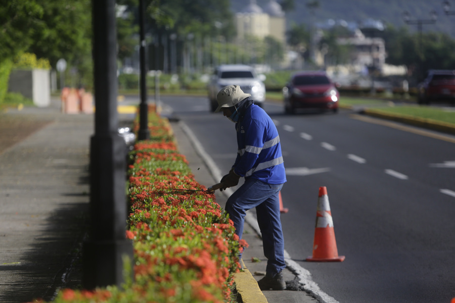 ¿por Qué Crece La Economía Pero No El Empleo Formal En Panamá?