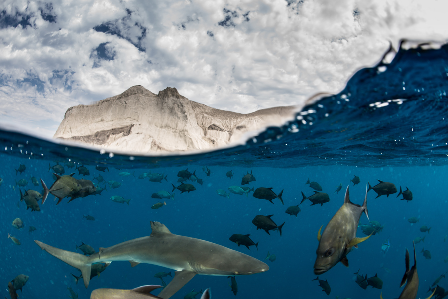 Satélites delatan los buques de pesca ilegal