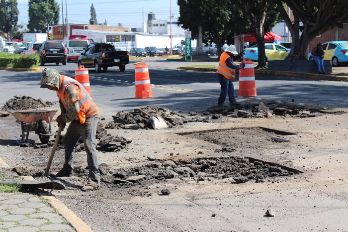 Bacheo Tonantzin3