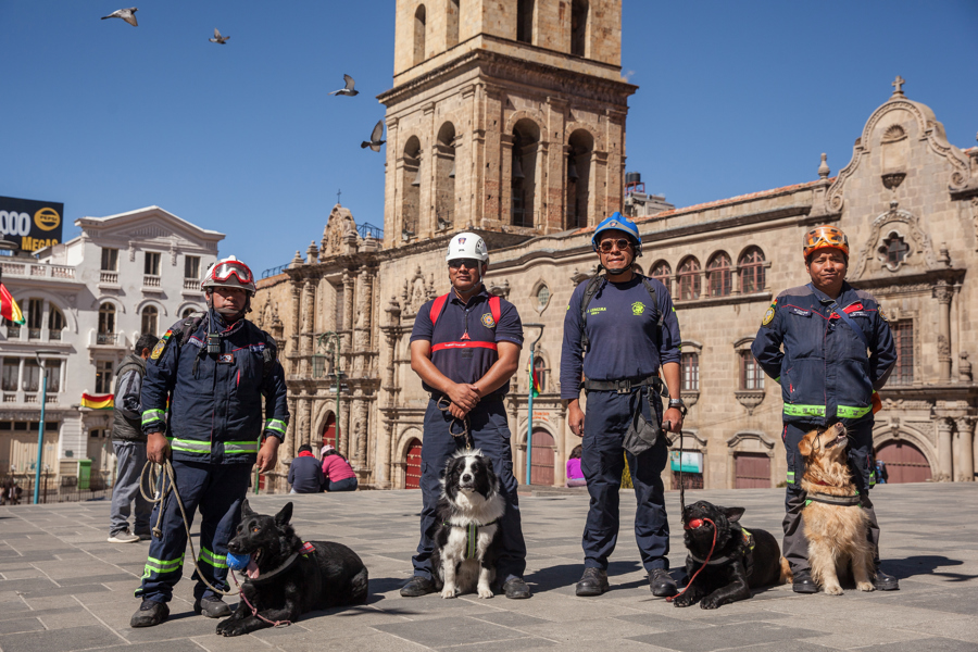 Perros Bolivianos Se Gradúan En Búsqueda Y Rescate De Seres Humanos En Medio De Escombros