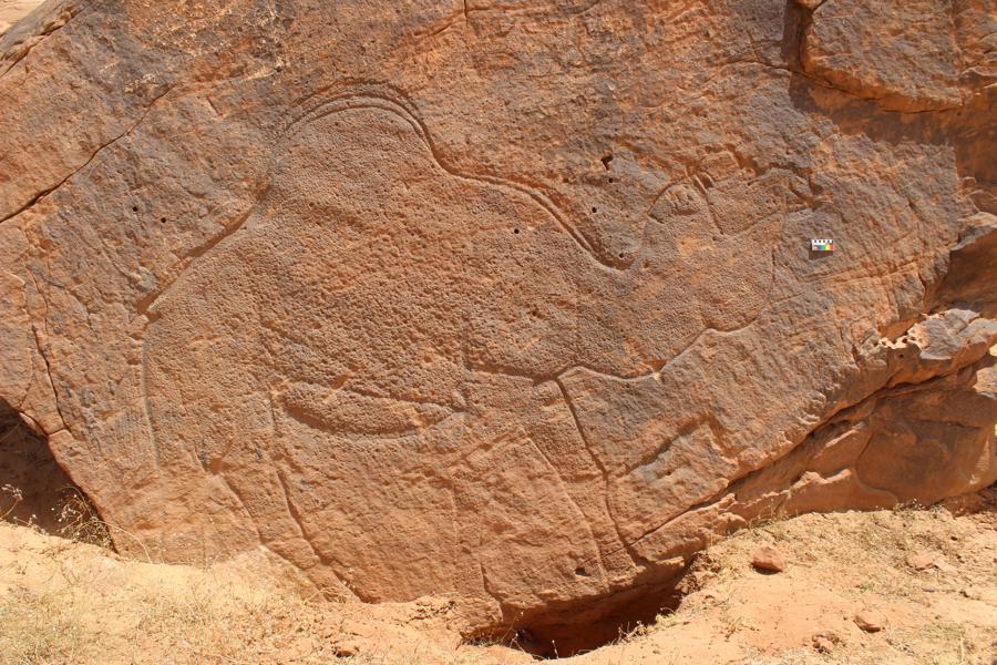 Arte Rupestre Con Grandes Camellos Marcaba Las Fuentes De Agua Hace 12.000 Años En Arabia
