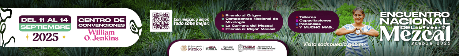 Banner Mezcal 980x120 Panorámica (1)