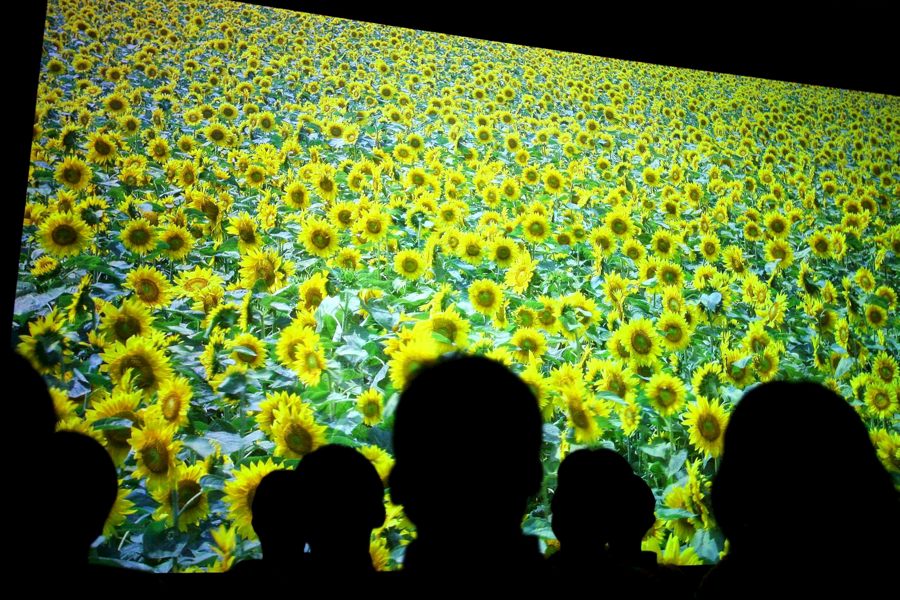 ¿Vale la pena una televisión de ultra-alta definición?