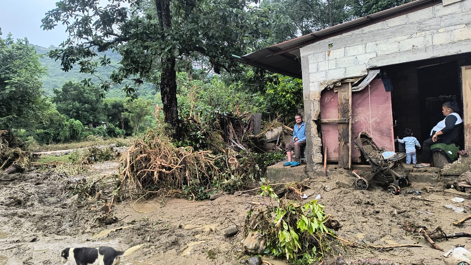 La Sierra Norte de Puebla nos necesita