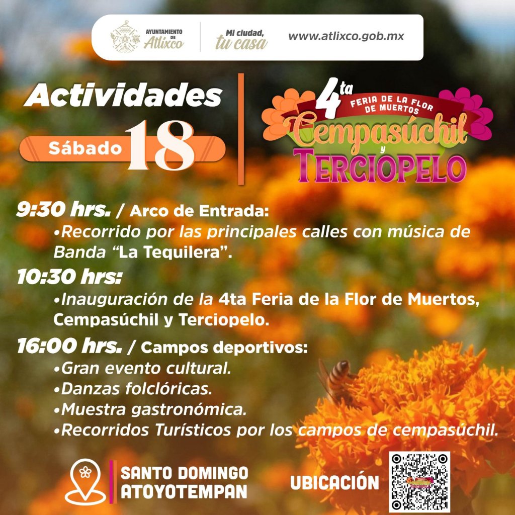 Img 20251017 Wa0153