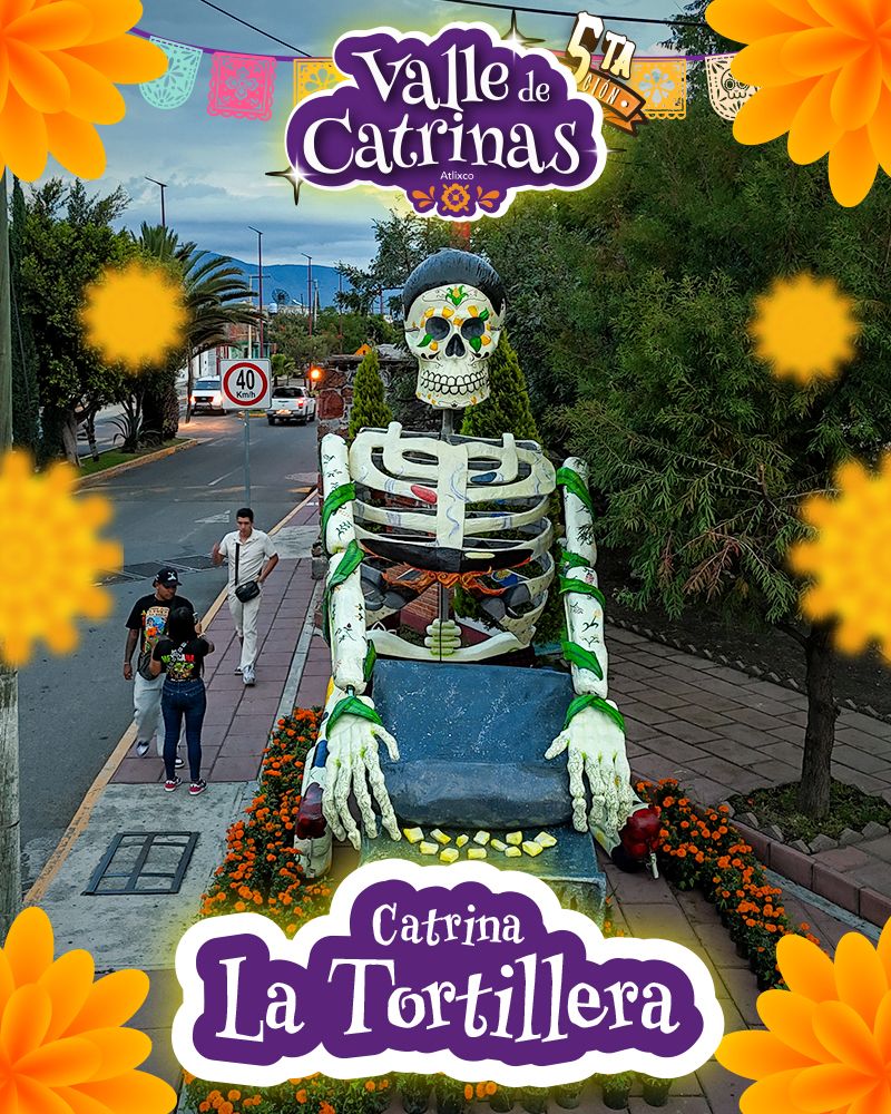 Whatsapp Image 2025 10 27 At 15.43.42.jpeg