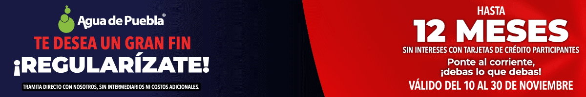 Gif 1200x200 Paa Fin