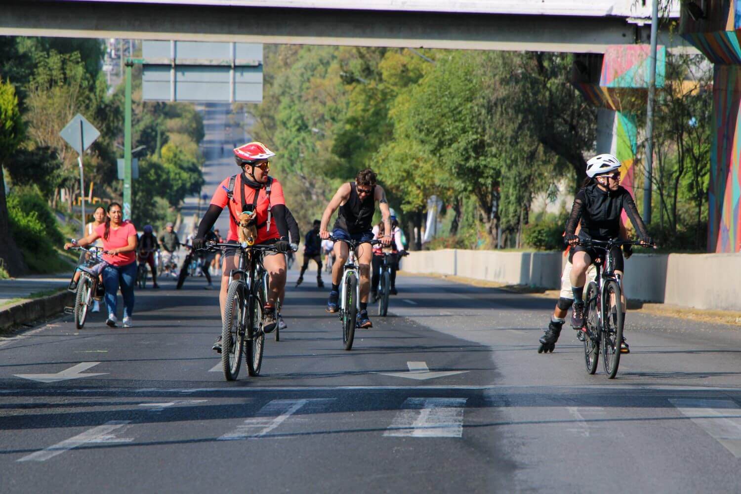 Más de 7 mil personas participan en la Vía Naranja