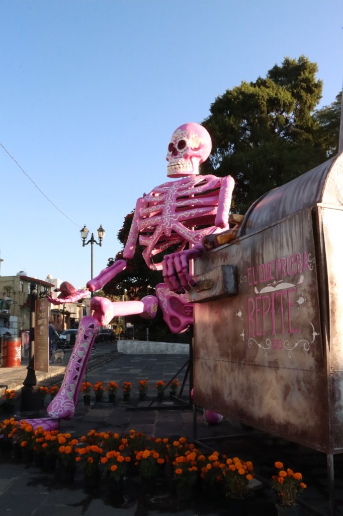 Whatsapp Image 2025 11 05 At 15.36.03 (1)