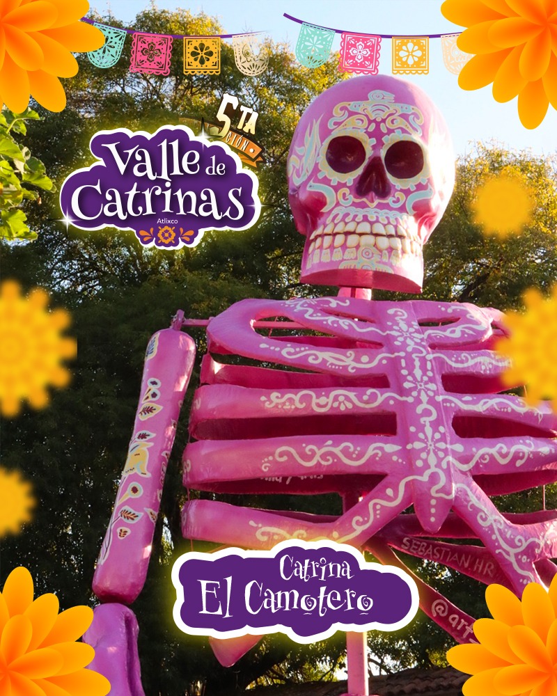 Whatsapp Image 2025 11 05 At 15.56.34