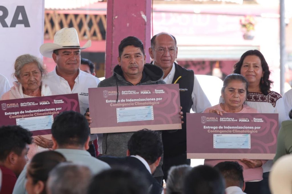 Whatsapp Image 2025 11 07 At 12.52.34 Pm