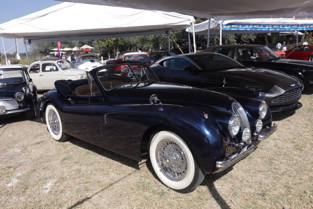 Whatsapp Image 2025 11 21 At 4.16.23 Pm (3)