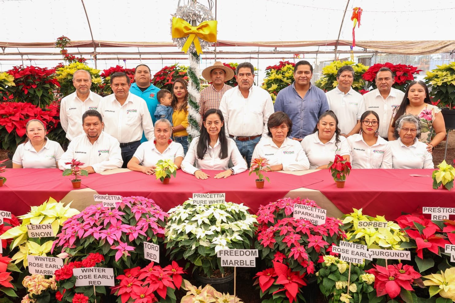Ariadna Ayala invita a la Feria de la Nochebuena
