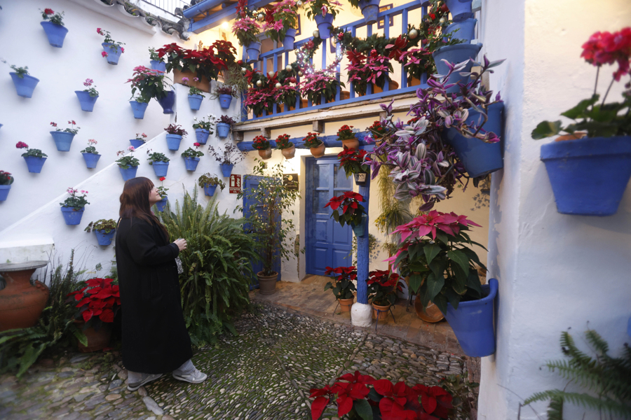 Los Patios de Córdoba se llenan de espíritu navideño