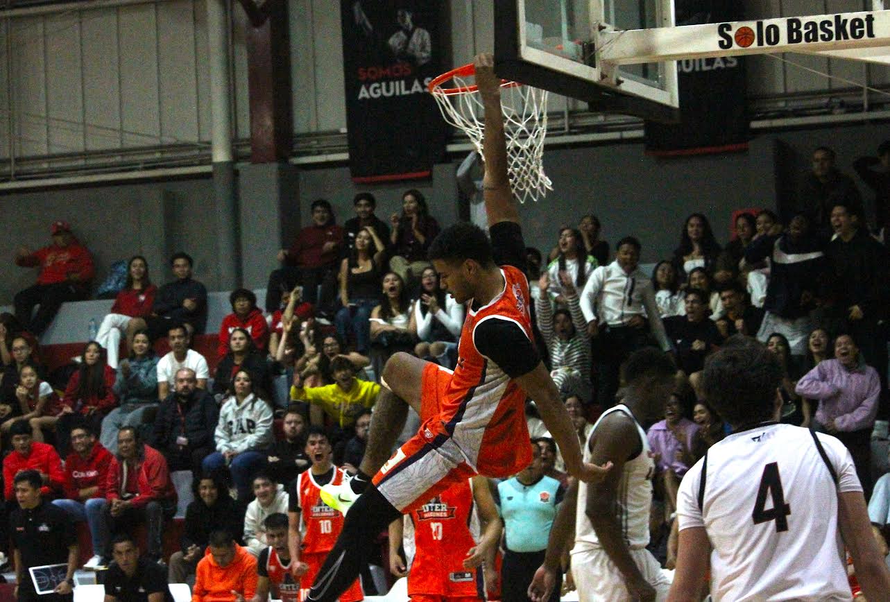 Whatsapp Image 2025 12 03 At 3.28.55 Pm