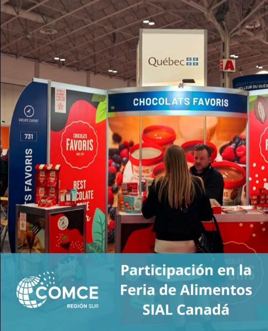 Whatsapp Image 2026 01 06 At 1.14.27 Pm (1)