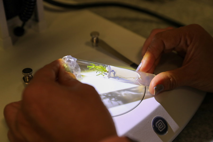 España, entre los países UE con más mujeres científicas