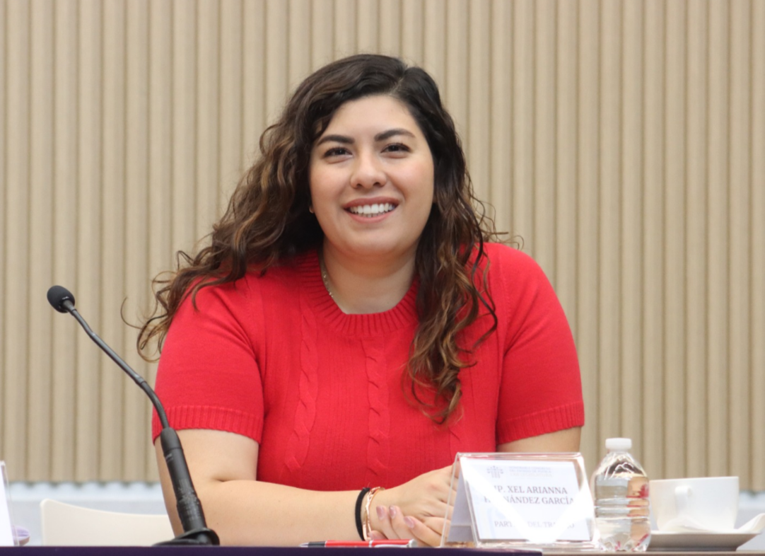 Iniciativa busca blindar constitucionalmente y ampliar alcance de la Fiscalía de Violencia contra las Mujeres