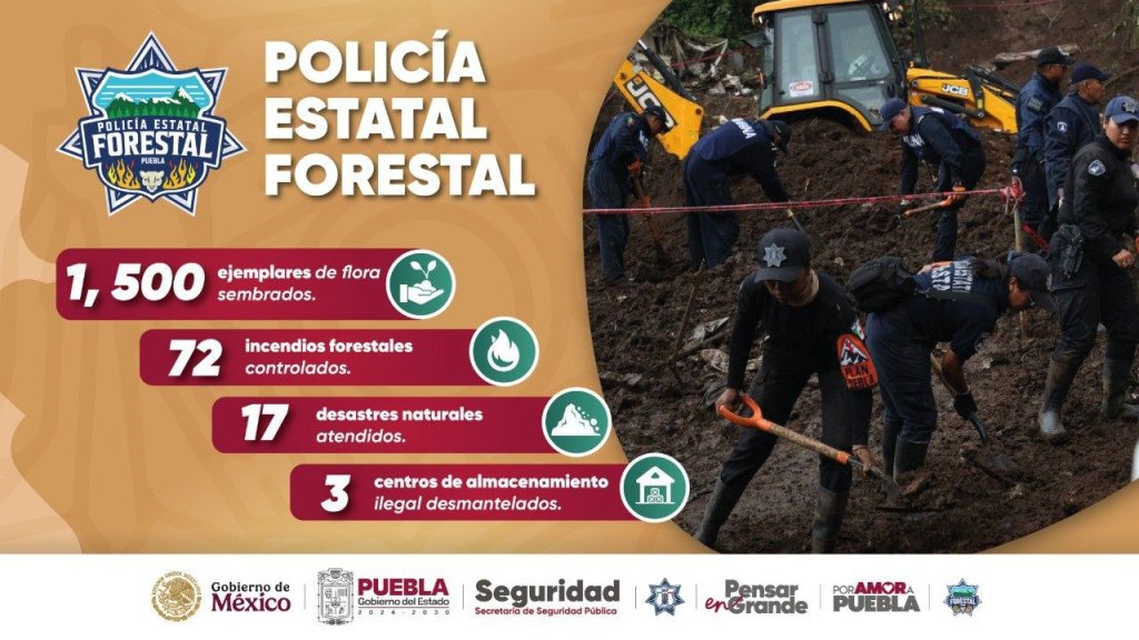 Whatsapp Image 2026 02 09 At 3.09.19 Pm (1)