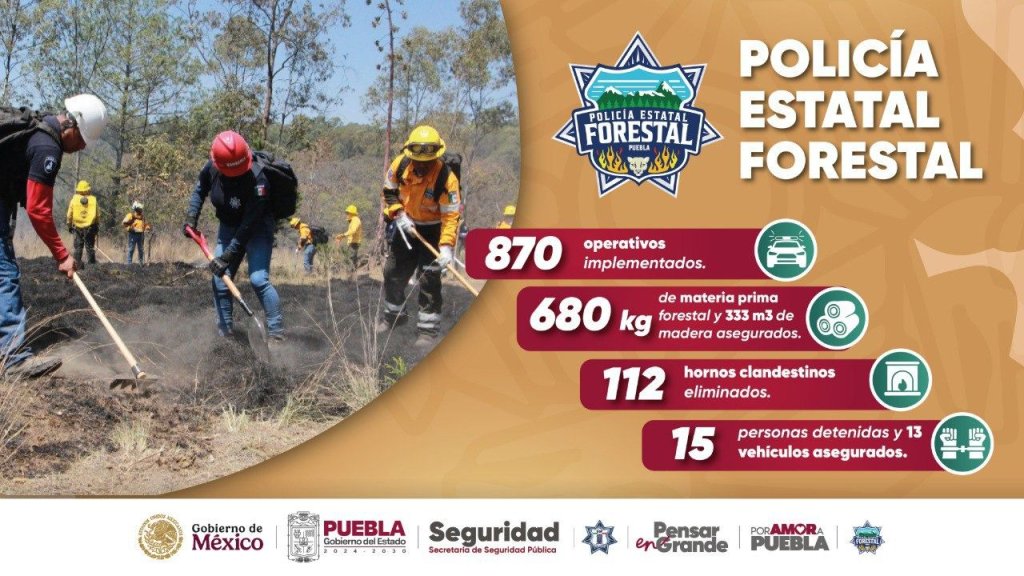 Whatsapp Image 2026 02 09 At 3.09.19 Pm