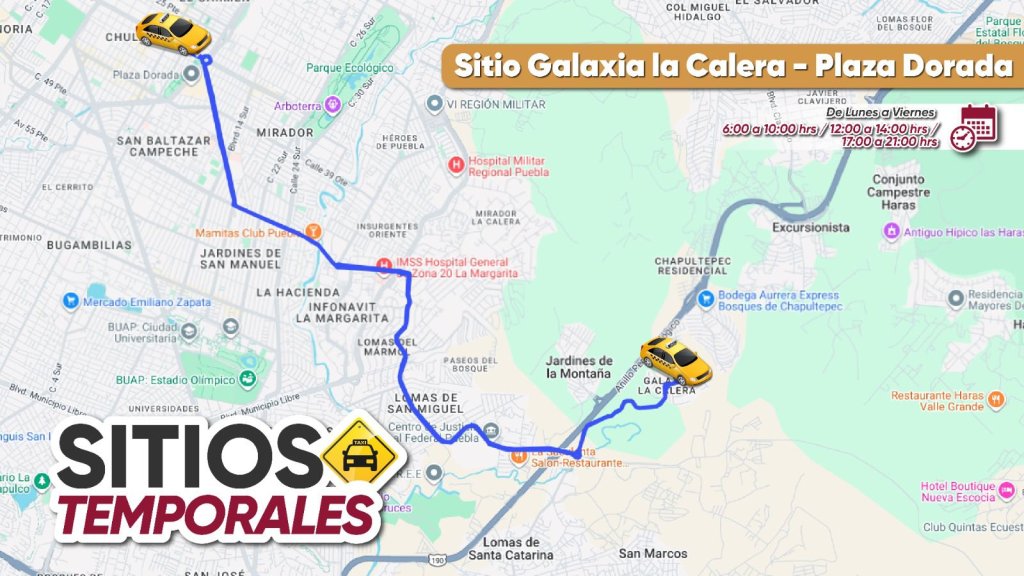 Whatsapp Image 2026 02 11 At 8.16.48 Pm