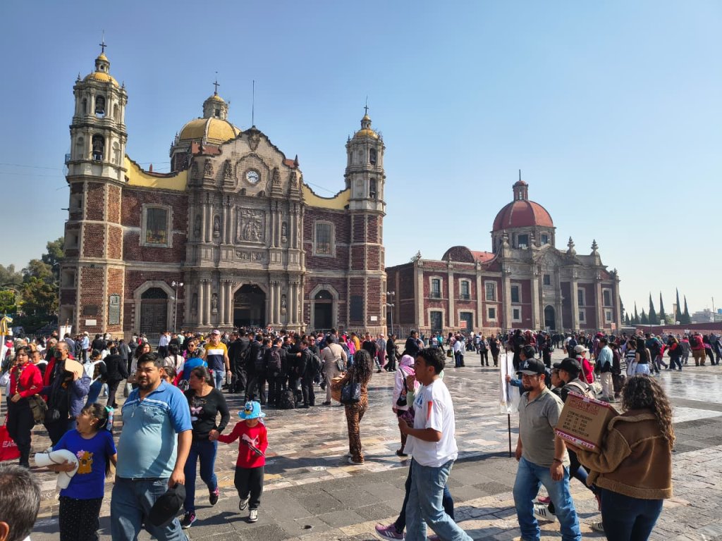 Whatsapp Image 2026 02 12 At 1.26.56 Pm