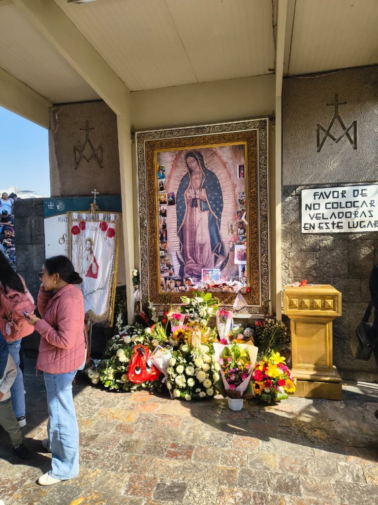 Whatsapp Image 2026 02 12 At 1.26.57 Pm (1)