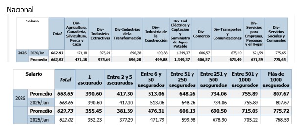 Whatsapp Image 2026 02 19 At 11.07.48 Am