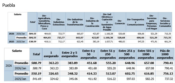 Whatsapp Image 2026 02 19 At 11.07.49 Am