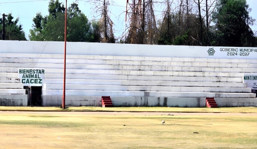 Texmelucan pide no regalar animales en Reyes Magos